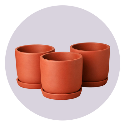 Planters